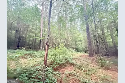 11 Owens Road, Maysville, GA 30558 - Photo 22