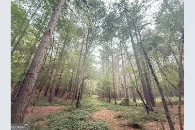 11 Owens Road, Maysville, GA 30558 - Photo 38