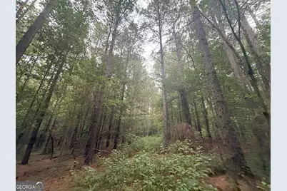 11 Owens Road, Maysville, GA 30558 - Photo 78