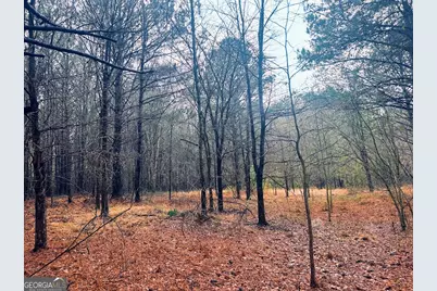 0 St. Marys Road SW #TRACT 1A, Crawfordville, GA 30631 - Photo 10