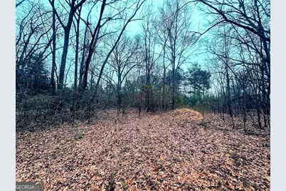 0 SW Flat Shoals Road #LOT A, Conyers, GA 30094 - Photo 6