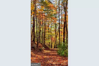 Lot 3 Gold Ridge Trail, Cherrylog, GA 30522 - Photo 8