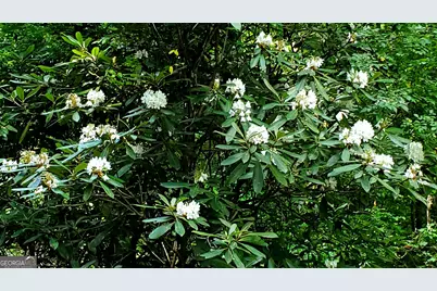 Lot 3 Gold Ridge Trail, Cherrylog, GA 30522 - Photo 10