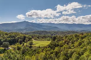 314 Ruby Ridge Dr, Young Harris, GA 30582 - Photo 2