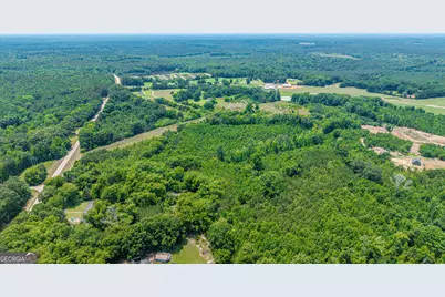 0 Washington Highway, Union Point, GA 30669 - Photo 4