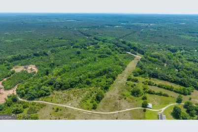 0 Washington Highway, Union Point, GA 30669 - Photo 6