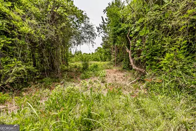 0 Washington Highway, Union Point, GA 30669 - Photo 12