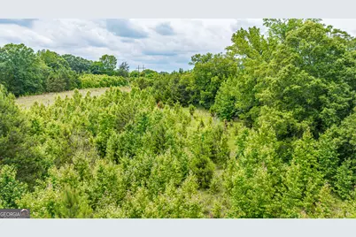 0 Washington Highway, Union Point, GA 30669 - Photo 22