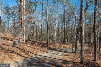 4011 Murphy Highway, Mineral Bluff, GA 30559 - Photo 74
