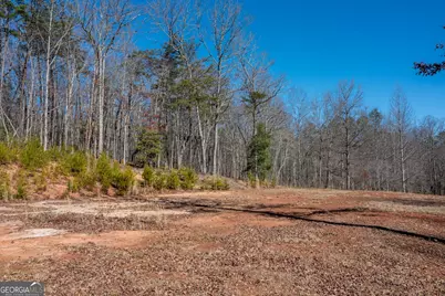 4011 Murphy Highway, Mineral Bluff, GA 30559 - Photo 6