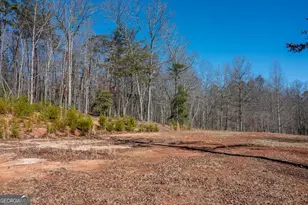 4011 Murphy Hwy, Mineral Bluff, GA 30559 - Photo 6