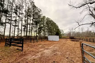 147 McLoon Rd, Hazlehurst, GA 31539 - Photo 24