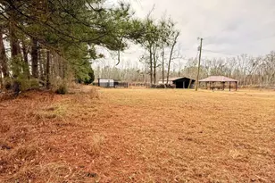 147 McLoon Rd, Hazlehurst, GA 31539 - Photo 38