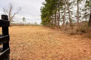 147 McLoon Rd, Hazlehurst, GA 31539 - Photo 28
