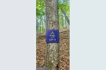 Lot 5 Gold Ridge Trail, Cherrylog, GA 30522 - Photo 2