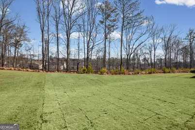 1423 Wild Cherry Ct, Griffin, GA 30223 - Photo 40