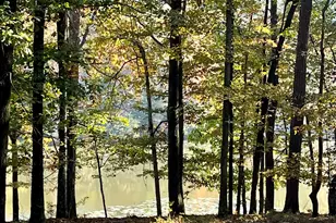 159 May Ln, Zebulon, GA 30295 - Photo 8