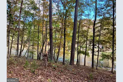 159 May Lane, Zebulon, GA 30295 - Photo 100