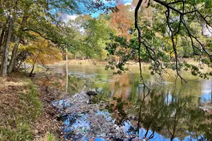 159 May Ln, Zebulon, GA 30295 - Photo 106