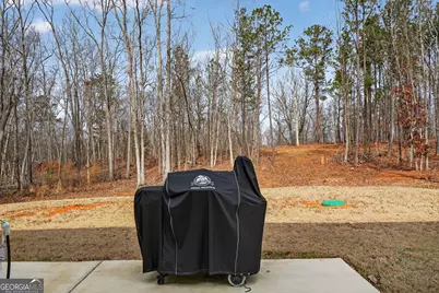 125 Red Oak Drive, Barnesville, GA 30204 - Photo 30