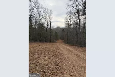 0 Hutcheson Road, Temple, GA 30179 - Photo 6