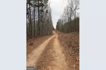 0 Hutcheson Road, Temple, GA 30179 - Photo 8