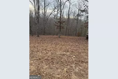 0 Hutcheson Road, Temple, GA 30179 - Photo 2