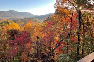 6341 W Laurel Ln, Young Harris, GA 30582 - Photo 50