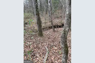 0 Hebron Church Road #1, Thomaston, GA 30286 - Photo 4