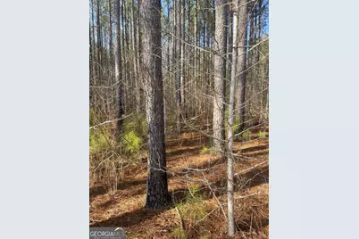 0 Hebron Church Road #1, Thomaston, GA 30286 - Photo 12