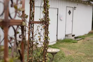 901 E Waring St, Waycross, GA 31501 - Photo 26