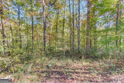 1520 Rivermist Drive, Monroe, GA 30655 - Photo 50