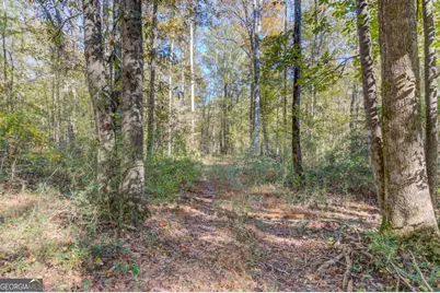 1520 Rivermist Drive, Monroe, GA 30655 - Photo 54