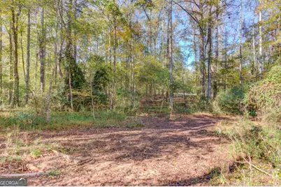 1520 Rivermist Drive, Monroe, GA 30655 - Photo 52