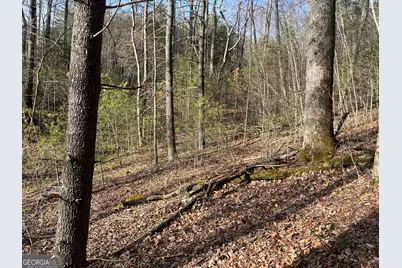 0 Winter Ct, Dillard, GA 30537 - Photo 1