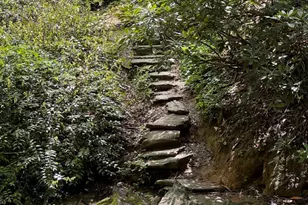 812 Covecrest Dr, Tiger, GA 30576 - Photo 60