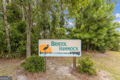 951 Bristol Hammock Circle, Kingsland, GA 31548 - Photo 50