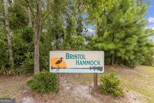951 Bristol Hammock Cir, Kingsland, GA 31548 - Photo 50