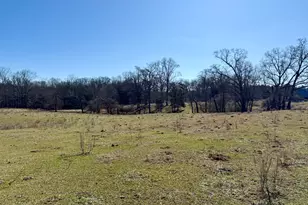 1121 Kansas Jake Rd, Waco, GA 30182 - Photo 10