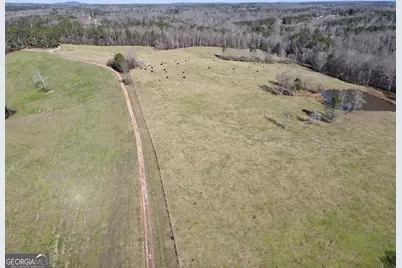 0 Kansas-Jake Road, Waco, GA 30182 - Photo 1