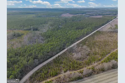 Tract 3 Reddish Road, Odum, GA 31555 - Photo 28