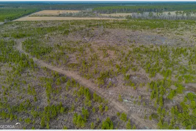 Tract 3 Reddish Road, Odum, GA 31555 - Photo 24