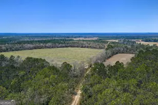 Tract 3 Reddish Rd, Odum, GA 31555 - Photo 1