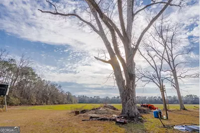 Tract 3 Reddish Road, Odum, GA 31555 - Photo 32