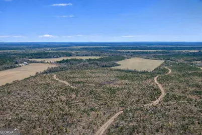 Tract 3 Reddish Road, Odum, GA 31555 - Photo 8