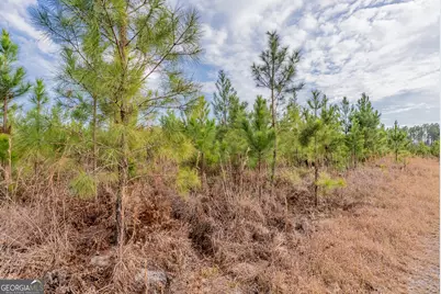 Tract 3 Reddish Road, Odum, GA 31555 - Photo 36