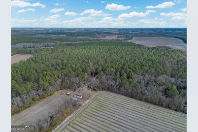 Tract 3 Reddish Road, Odum, GA 31555 - Photo 6
