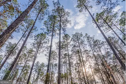 Tract 3 Reddish Road, Odum, GA 31555 - Photo 50