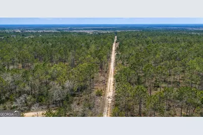 Tract 3 Reddish Road, Odum, GA 31555 - Photo 4