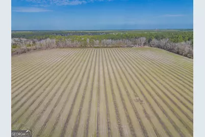 Tract 3 Reddish Road, Odum, GA 31555 - Photo 20
